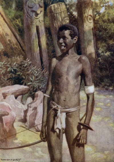 Sanatçının Malekula Rehberi, Yeni Hebridler (renkli taş) by Norman Hardy