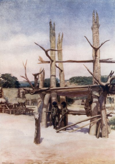 The Dubu at Rigo, Britanya Yeni Gine (renkli taş) by Norman Hardy