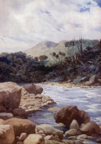 Rapids, Williams Nehri, Eromanga Adası, Yeni Hebridler (renkli taş) by Norman Hardy