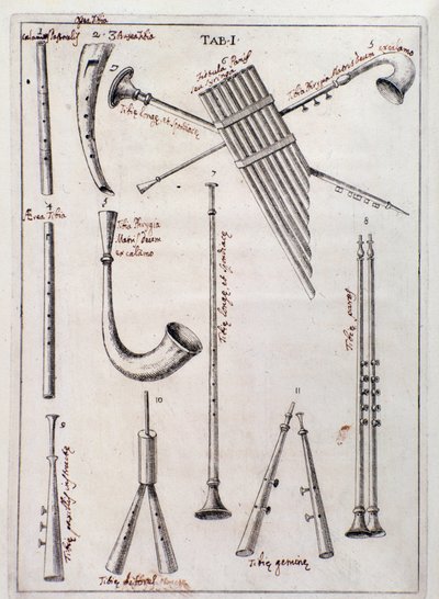 Francesco Bianchini