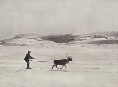 Dağlarda Ren Geyiği ile Kayak Sürüşü by Norwegian Photographer
