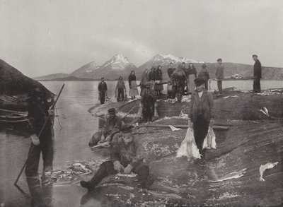 Klip-balık yıkama by Norwegian Photographer