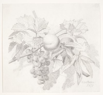 Üzüm ve şeftali by O.D. Ottesen