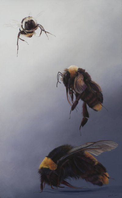  by Odile Kidd