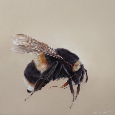  by Odile Kidd
