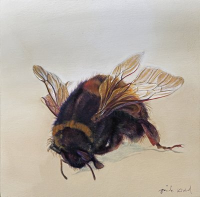  by Odile Kidd