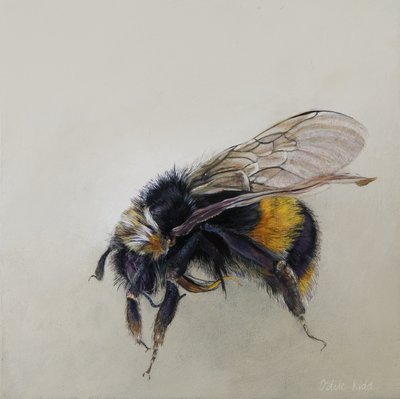  by Odile Kidd