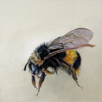 by Odile Kidd