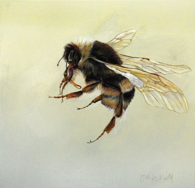  by Odile Kidd