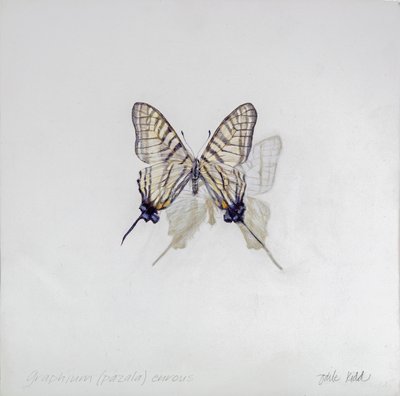  by Odile Kidd