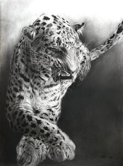  by Odile Kidd