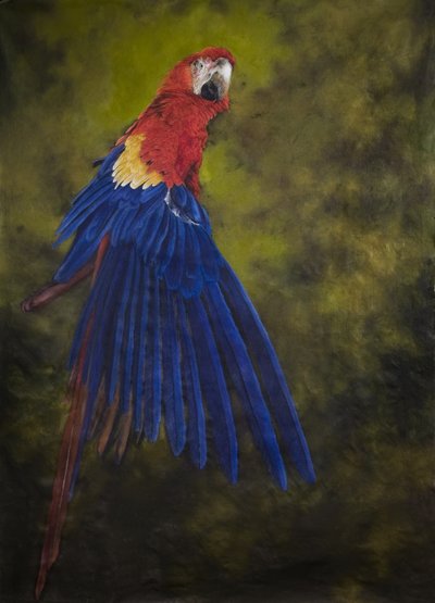  by Odile Kidd