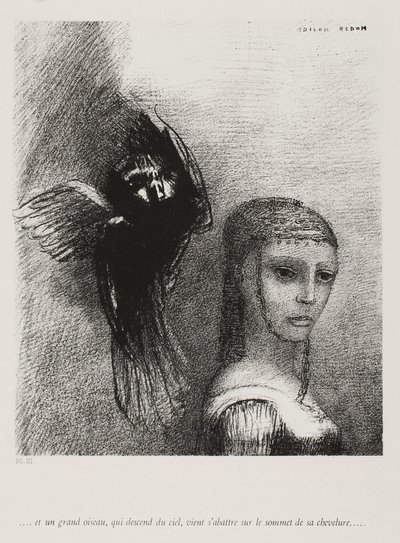 Ve Büyük Bir Kuş Gökten İnerek Saçının En Üst Noktasına Atılıyor, levha 3, 10, 1888 by Odilon Redon