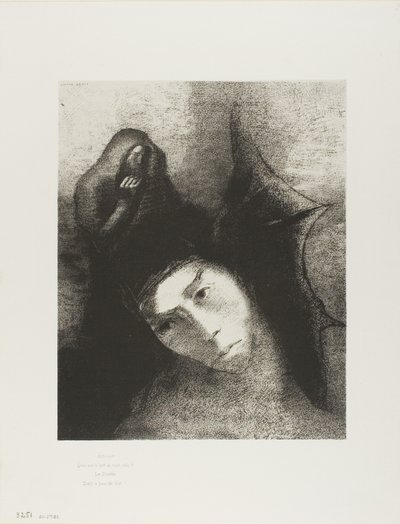Anthony: "Bütün bunların amacı nedir?" Şeytan: "Nesne yok!", levha 18/24 by Odilon Redon