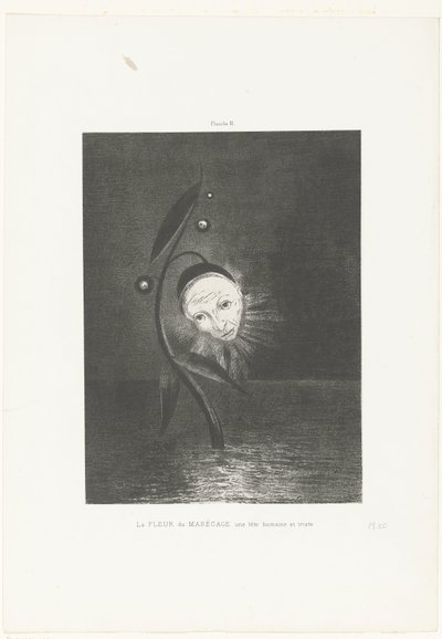 Çayır çiçeği, insan ve üzgün bir kafa La FLEUR du MARÉCAGE une tête humaine et triste (nesne üzerindeki başlık) by Odilon Redon