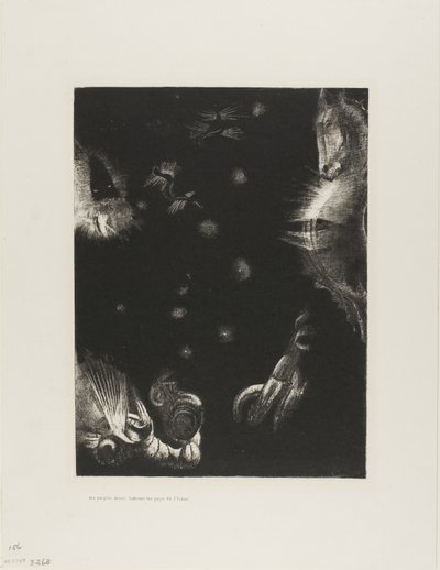 Okyanusun Ülkelerinde Farklı Halklar Yaşıyor, plaka 23 / 24 by Odilon Redon