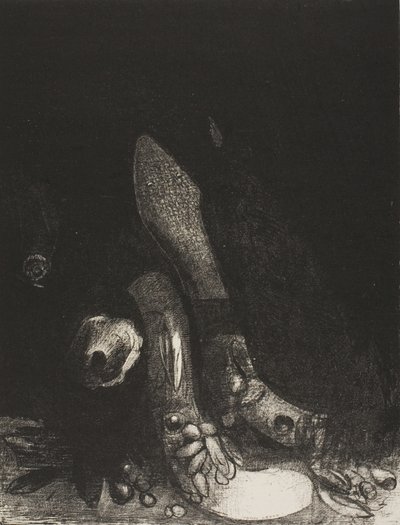 Çiçekler Düşüyor ve Bir Piton Başı Görünüyor, plaka 5 / 24 by Odilon Redon