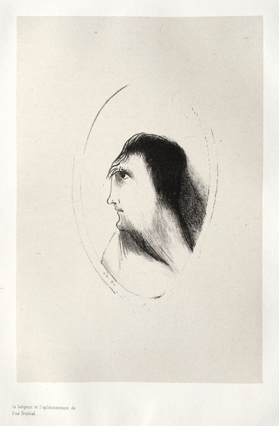 Ön Kemiğin Genişliği ve Düzlüğü by Odilon Redon