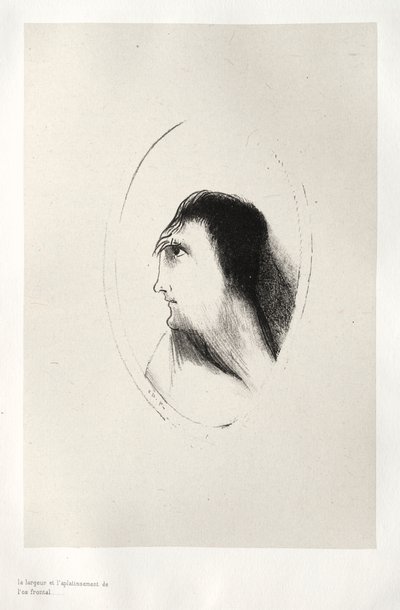 Perili Ev: Frontal [Kemiğin] Genişliği ve Düzlüğü, 1896. by Odilon Redon