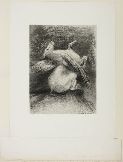 İktidarsız Kanat Hayvanı O Kara Boşluğa Kaldırmadı, "Les Origines"den 7/8 levha by Odilon Redon