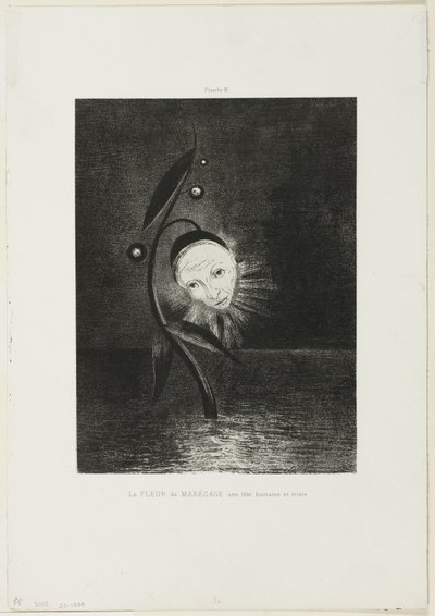 Bataklık Çiçeği, Üzgün Bir İnsan Kafası, plaka 2/6 by Odilon Redon
