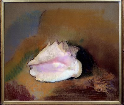 Deniz kabuğu. Odilon Redon