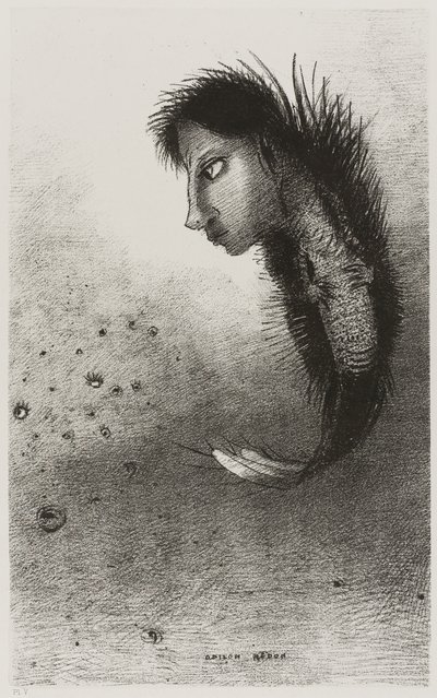Sonra Tekil Bir Varlık Görünür, Bir Balık Gövdesinde Bir Adamın Başına Sahiptir, levha 5/10 by Odilon Redon