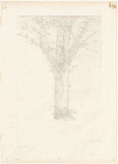 Ağaç by Odilon Redon