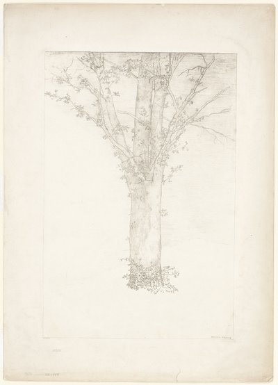 Ağaç by Odilon Redon