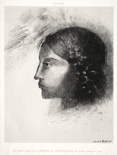 Uyandıktan Sonra Şiddetli ve Sert Profiliyle Akıl Tanrıçasını Gördüm by Odilon Redon