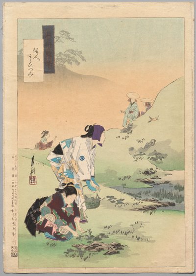 Güzeller Hasat Bracken, Gekkō