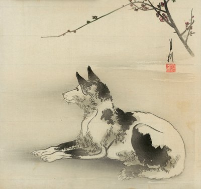 siyah beyaz köpek by Ogata Gekko
