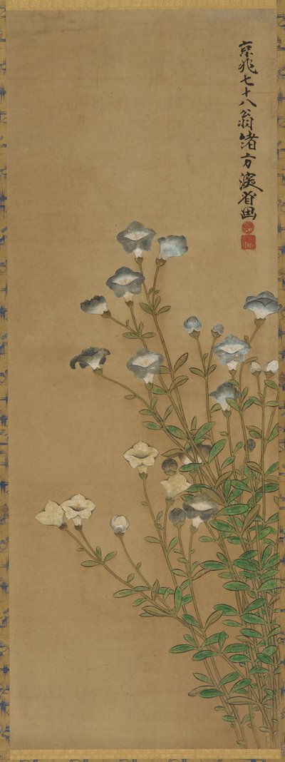 İnce saplarda mavi ve beyaz çiçekler, Edo dönemi, 18.-19. yüzyıl by Ogata Kenzan