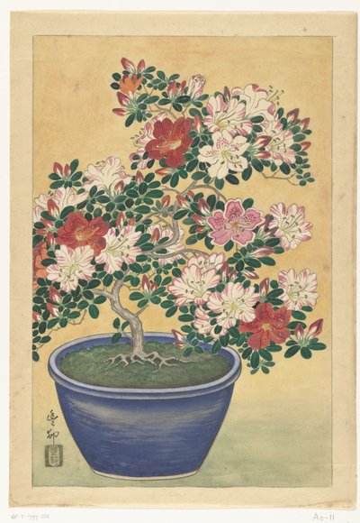 Mavi tencerede çiçek açan açelya by Ohara Koson (signed by artist)