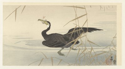 balıklı karabatak by Ohara Koson