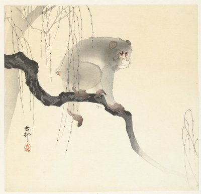 Ağaç dalı üzerinde maymun by Ohara Koson