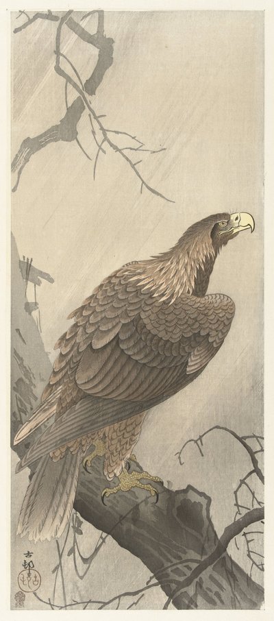 Ağaç dalı üzerinde kartal by Ohara Koson