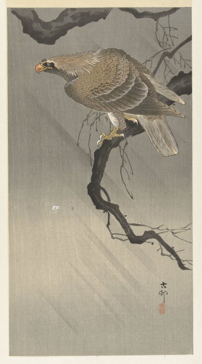 dalda kartal by Ohara Koson