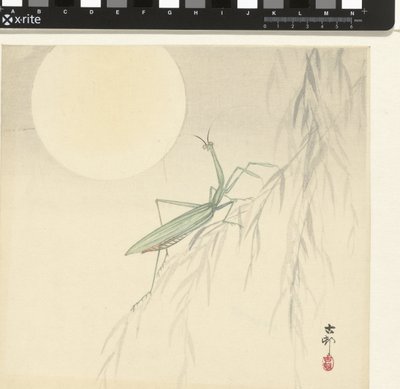 Peygamber Devesi by Ohara Koson