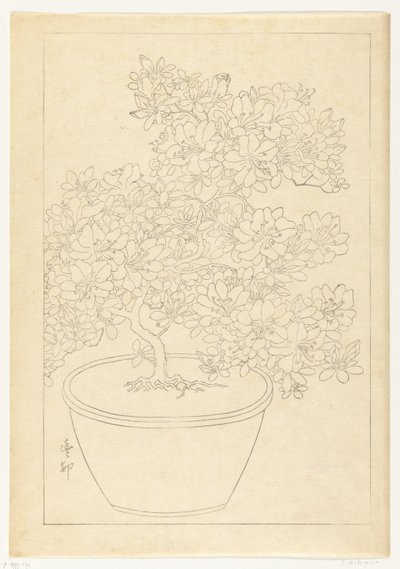 Tencerede çiçek açan açelya by Ohara Koson