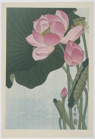 çiçek açan nilüfer çiçekleri by Ohara Koson