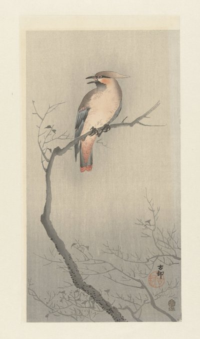 Bir dalda bohem balmumu kanadı by Ohara Koson