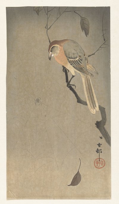 Bufalo Kafalı Örümcek ve Örümcek by Ohara Koson