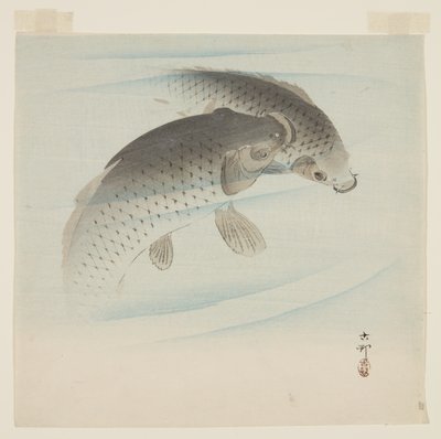 Sazan (Koi) (renkli tahta baskı) by Ohara Koson