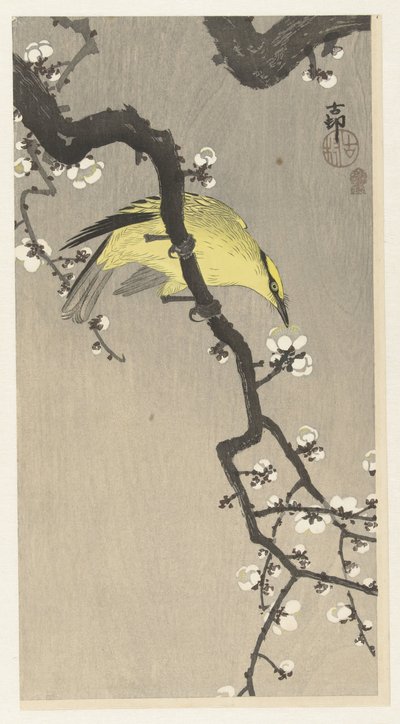 Erik çiçeği dalında Çin sarısı by Ohara Koson