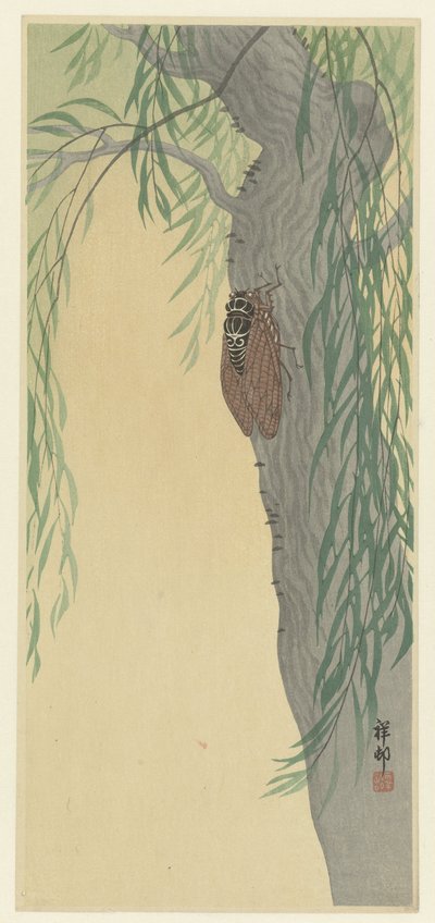 ağaçta ağustos böceği by Ohara Koson