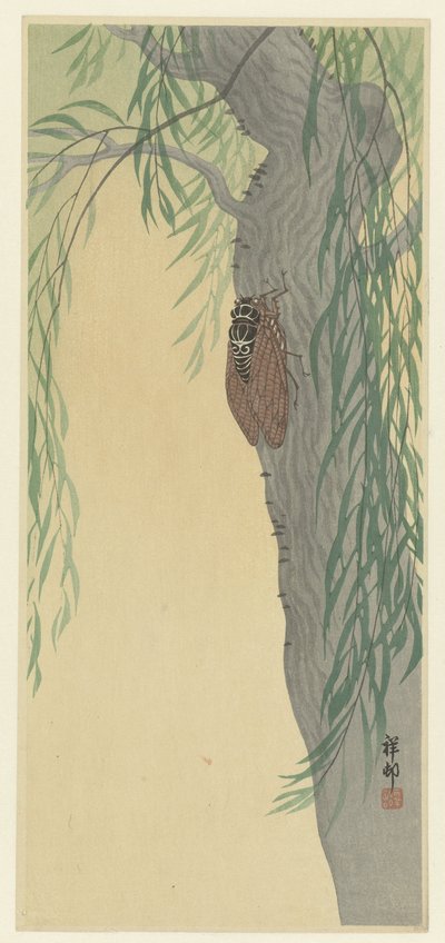 ağaçta ağustosböceği by Ohara Koson
