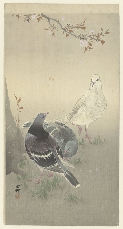Üç evcil güvercin by Ohara Koson