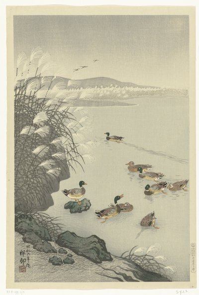 Sudaki ördekler by Ohara Koson