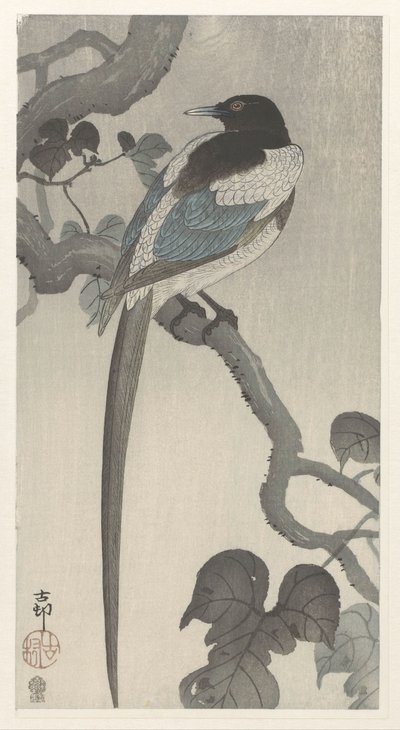 Ağaç dalı üzerinde dış by Ohara Koson
